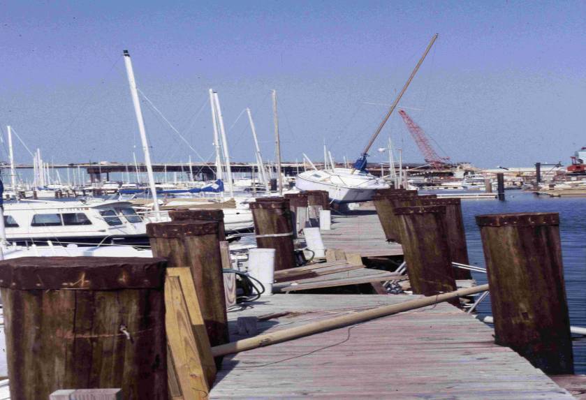 Charleston City Marina (Bryan Stone)